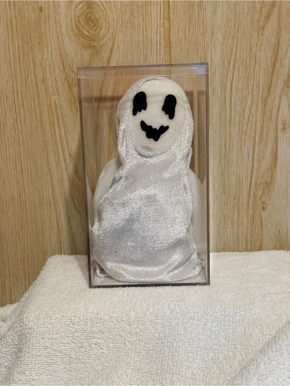 White Plush Ghost Figurine in Clear Display Case